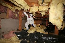 INSULATION REMOVAL